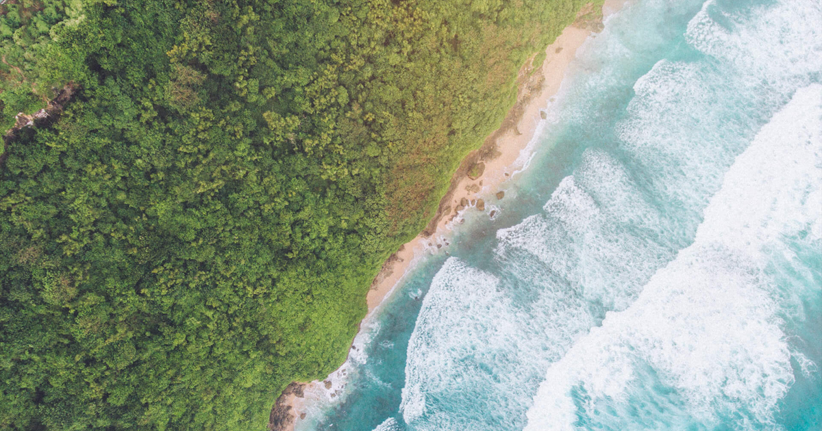 Savaya Bali